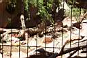 pz_DCP_0531.jpg
